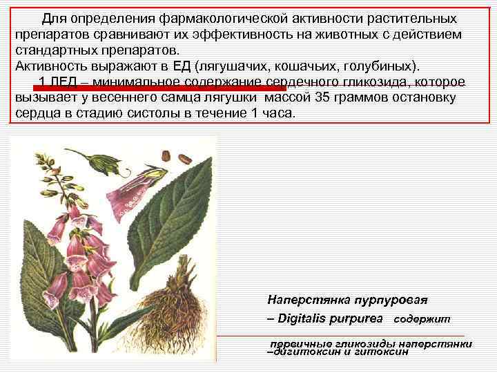 Для определения фармакологической активности растительных препаратов сравнивают их эффективность на животных с действием стандартных