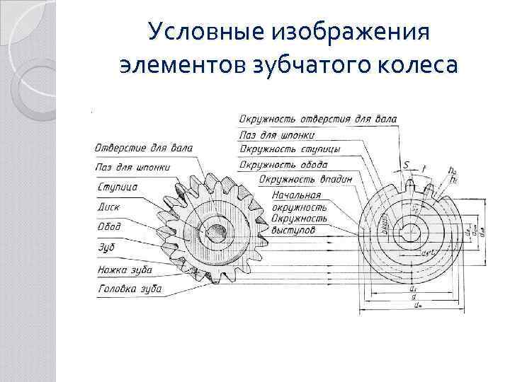 Условные изображения элементов зубчатого колеса 