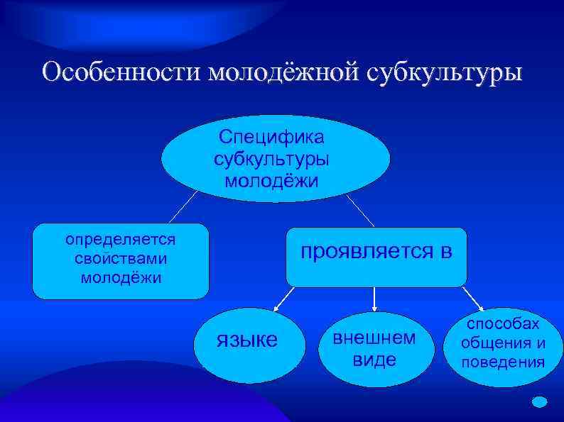Особенности молодёжной субкультуры Специфика субкультуры молодёжи определяется свойствами молодёжи проявляется в языке внешнем виде