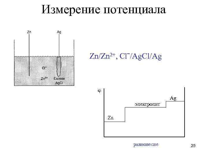 Измерение потенциала Zn/Zn 2+, Сlˉ/Ag. Cl/Ag φ Ag электролит Zn равновесие 25 
