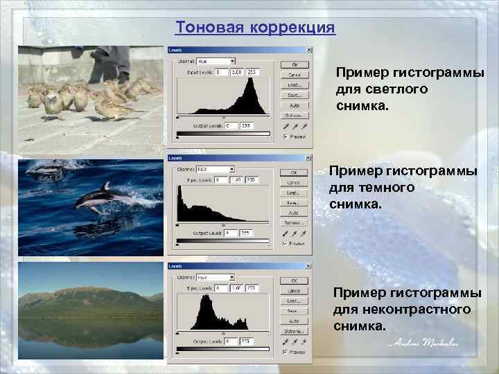 Принципы корректировки фотографий