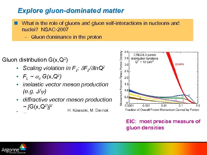 Explore gluon-dominated matter n What is the role of gluons and gluon self-interactions in