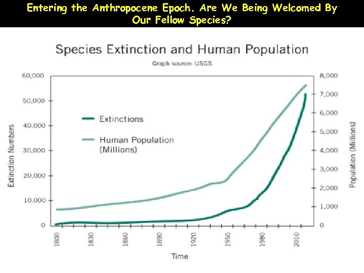 Entering the Anthropocene Epoch. Are We Being Welcomed By Our Fellow Species? 