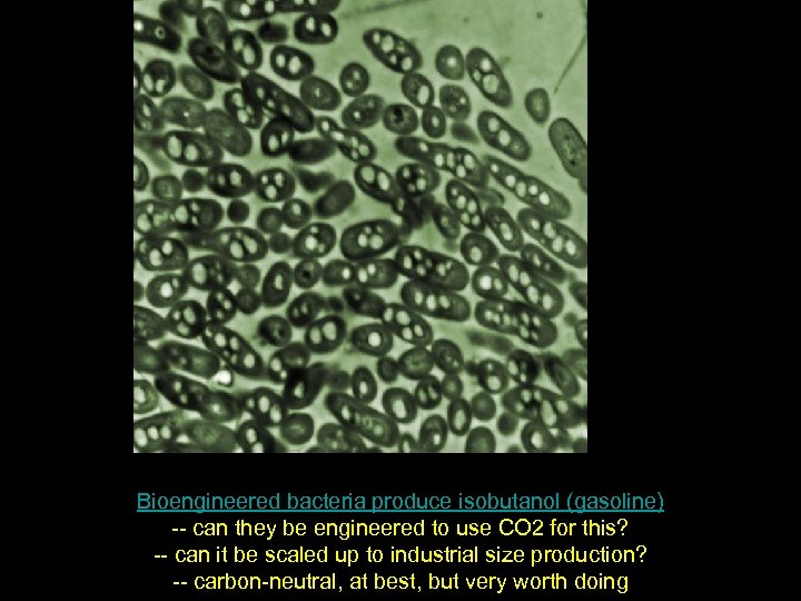 Bioengineered bacteria produce isobutanol (gasoline) -- can they be engineered to use CO 2
