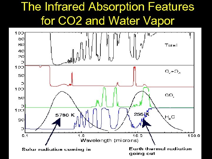 The Infrared Absorption Features for CO 2 and Water Vapor 