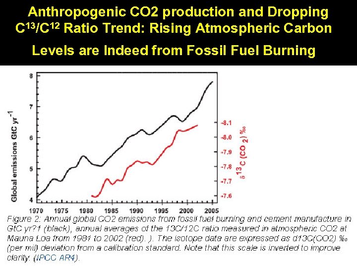 Anthropogenic CO 2 production and Dropping C 13/C 12 Ratio Trend: Rising Atmospheric Carbon