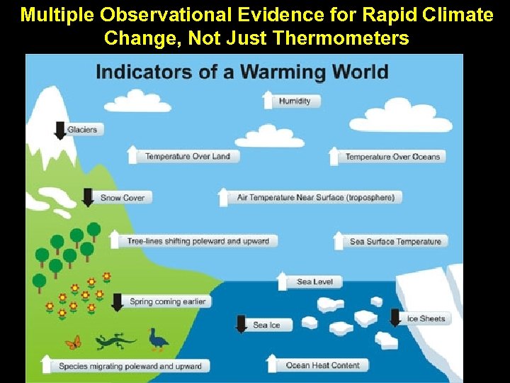 Multiple Observational Evidence for Rapid Climate Change, Not Just Thermometers 