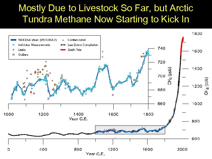 Mostly Due to Livestock So Far, but Arctic Tundra Methane Now Starting to Kick