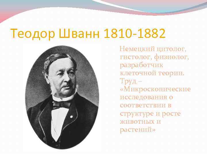 Теодор Шванн 1810 -1882 Немецкий цитолог, гистолог, физиолог, разработчик клеточной теории. Труд – «Микроскопические