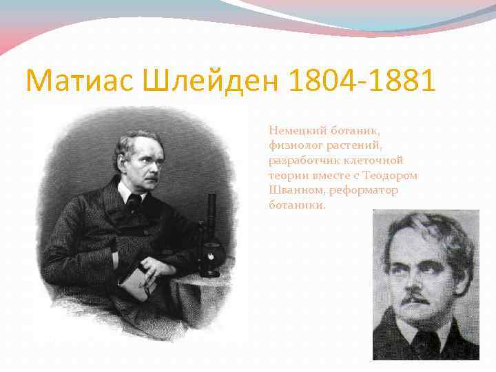 Матиас Шлейден 1804 -1881 Немецкий ботаник, физиолог растений, разработчик клеточной теории вместе с Теодором