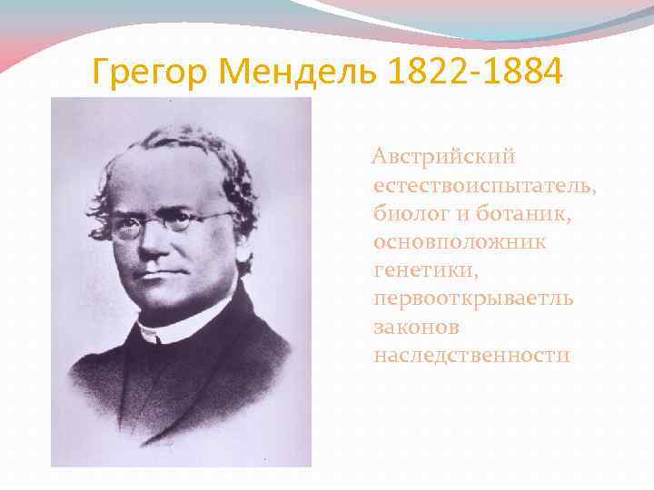 Грегор Мендель 1822 -1884 Австрийский естествоиспытатель, биолог и ботаник, основположник генетики, первооткрываетль законов наследственности