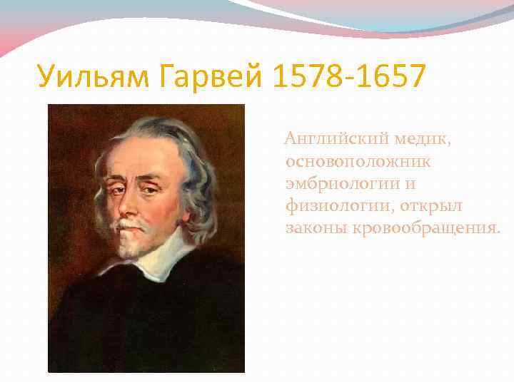 Уильям Гарвей 1578 -1657 Английский медик, основоположник эмбриологии и физиологии, открыл законы кровообращения. 