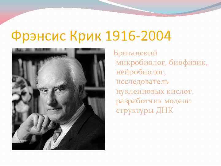 Фрэнсис Крик 1916 -2004 Британский микробиолог, биофизик, нейробиолог, исследователь нуклеиновых кислот, разработчик модели структуры