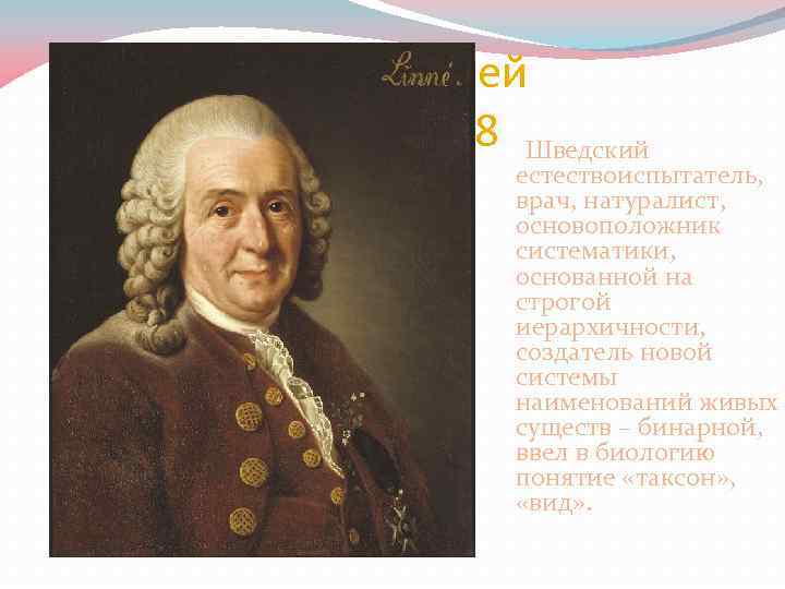 Карл Линней 1707 -1778 Шведский естествоиспытатель, врач, натуралист, основоположник систематики, основанной на строгой иерархичности,