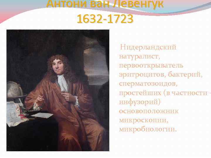 Антони ван Левенгук 1632 -1723 Нидерландский натуралист, первооткрыватель эритроцитов, бактерий, сперматозоидов, простейших (в частности