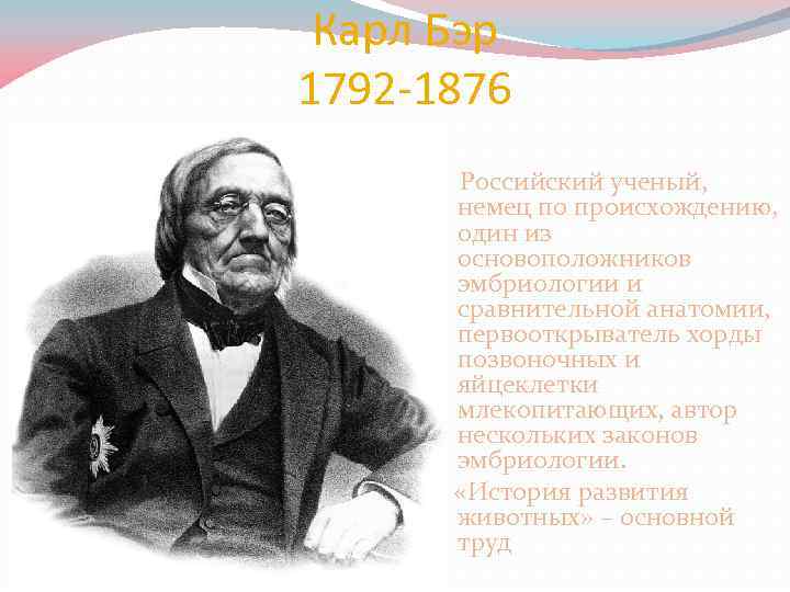 Карл Бэр 1792 -1876 Российский ученый, немец по происхождению, один из основоположников эмбриологии и