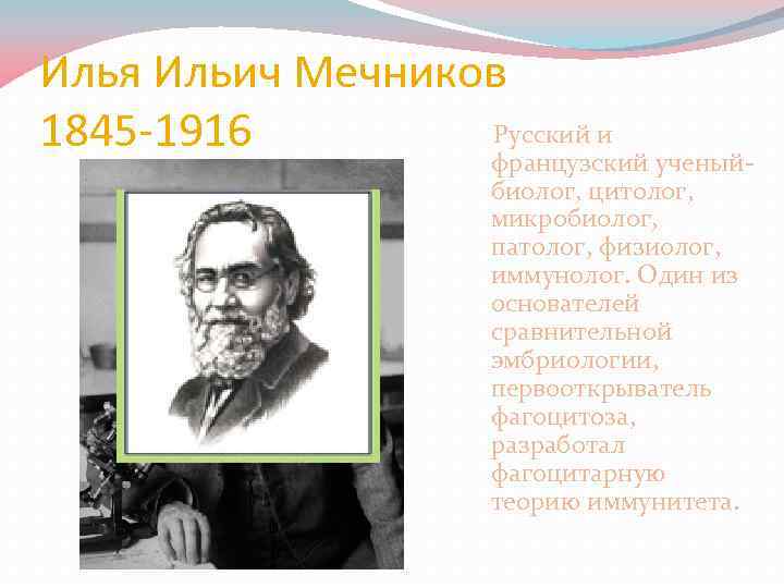 Илья Ильич Мечников Русский и 1845 -1916 французский ученыйбиолог, цитолог, микробиолог, патолог, физиолог, иммунолог.