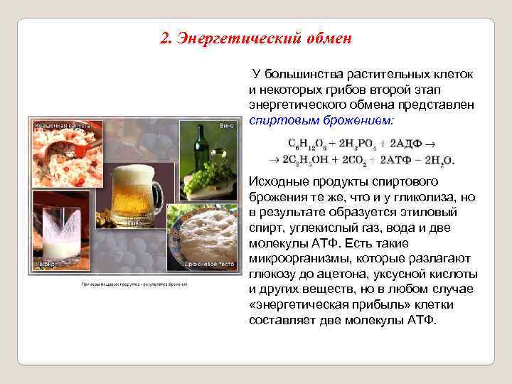 2. Энергетический обмен У большинства растительных клеток и некоторых грибов второй этап энергетического обмена
