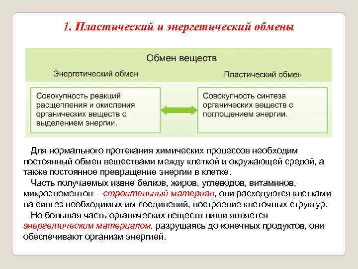 1. Пластический и энергетический обмены Для нормального протекания химических процессов необходим постоянный обмен веществами