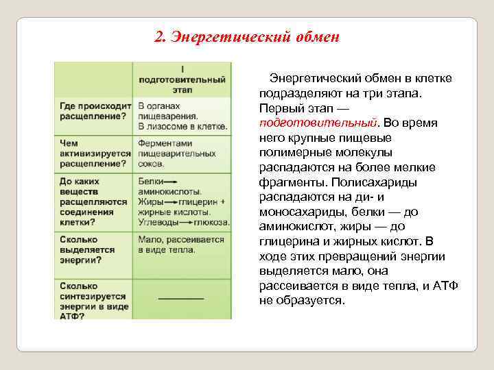 Этапы энергетического обмена схема