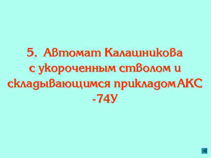 5. Автомат Калашникова с укороченным стволом и складывающимся прикладом АКС -74 У 