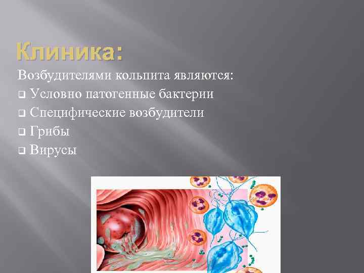 Клиника: Возбудителями кольпита являются: q Условно патогенные бактерии q Специфические возбудители q Грибы q