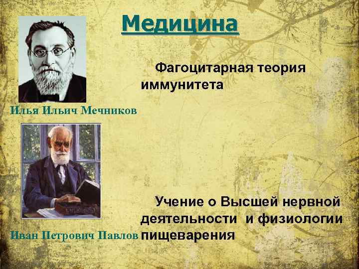 Теория иммунитета мечникова