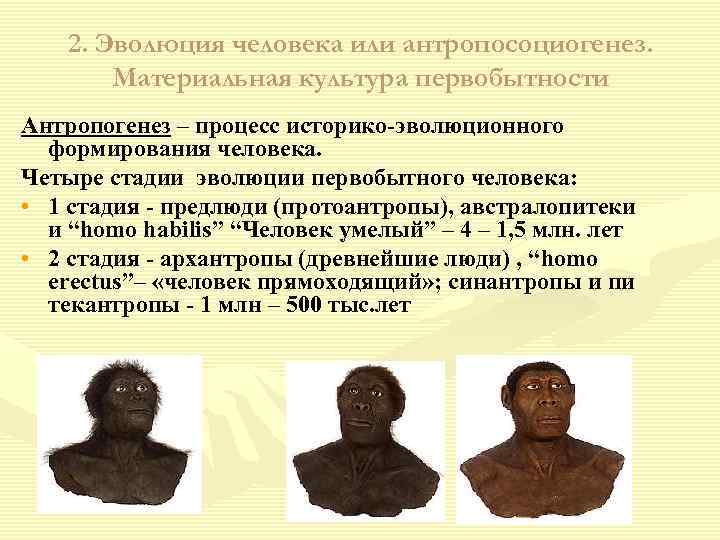2. Эволюция человека или антропосоциогенез. Материальная культура первобытности Антропогенез – процесс историко-эволюционного формирования человека.