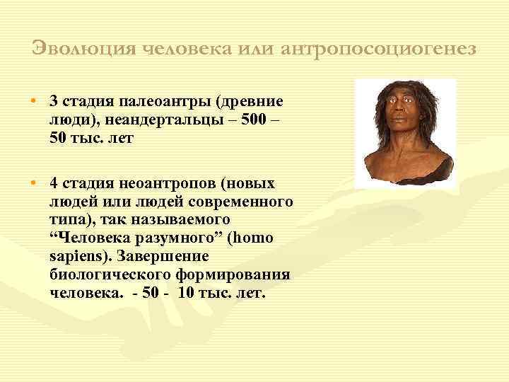 Эволюция человека или антропосоциогенез • 3 стадия палеоантры (древние люди), неандертальцы – 500 –