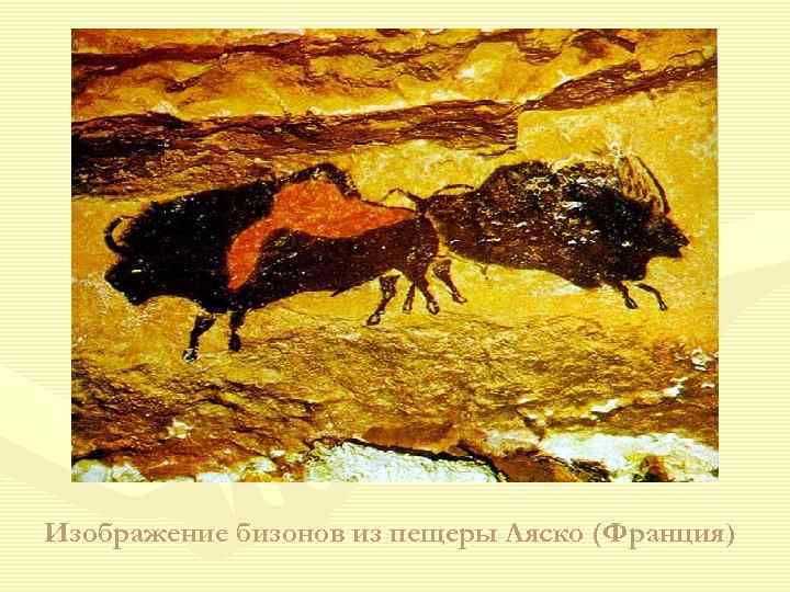 Изображение бизонов из пещеры Ляско (Франция) 