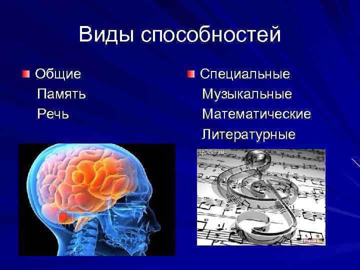 Виды способностей Общие Память Речь Специальные Музыкальные Математические Литературные 