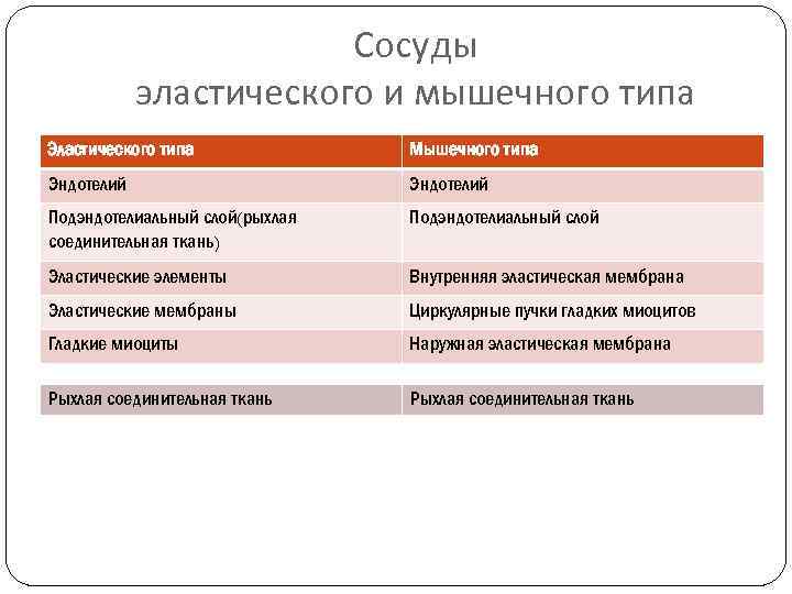 Сосуды эластического и мышечного типа Эластического типа Мышечного типа Эндотелий Подэндотелиальный слой(рыхлая соединительная ткань)