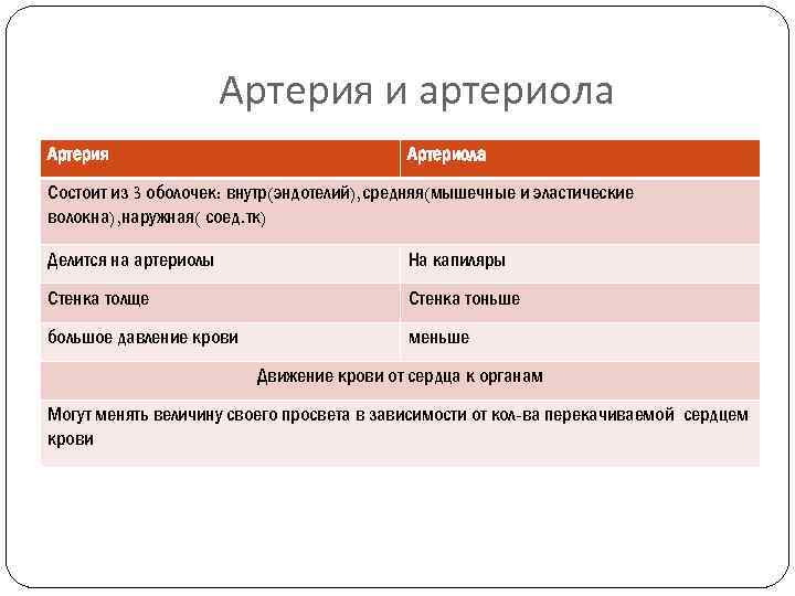 Артерия и артериола Артерия Артериола Состоит из 3 оболочек: внутр(эндотелий), средняя(мышечные и эластические волокна),