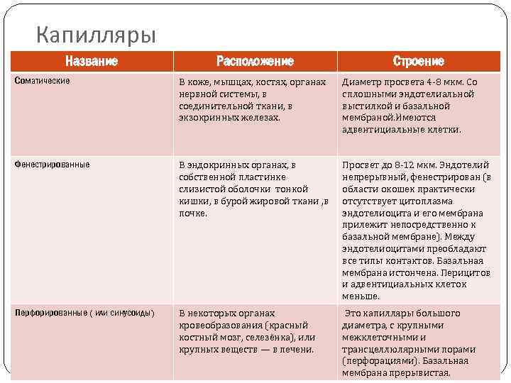 Функции капилляров. Функции соматических капилляров. Классификация капилляров. Типы капилляров и их функции. Тип капилляров органы функции.