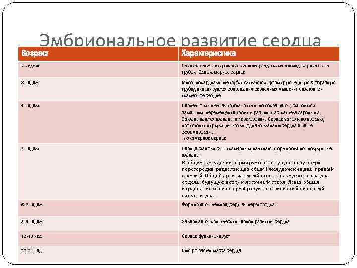 Эмбриональное развитие сердца Возраст Характеристика 2 неделя Начинается формирование 2 -х пока раздельных миоэндокардиальных