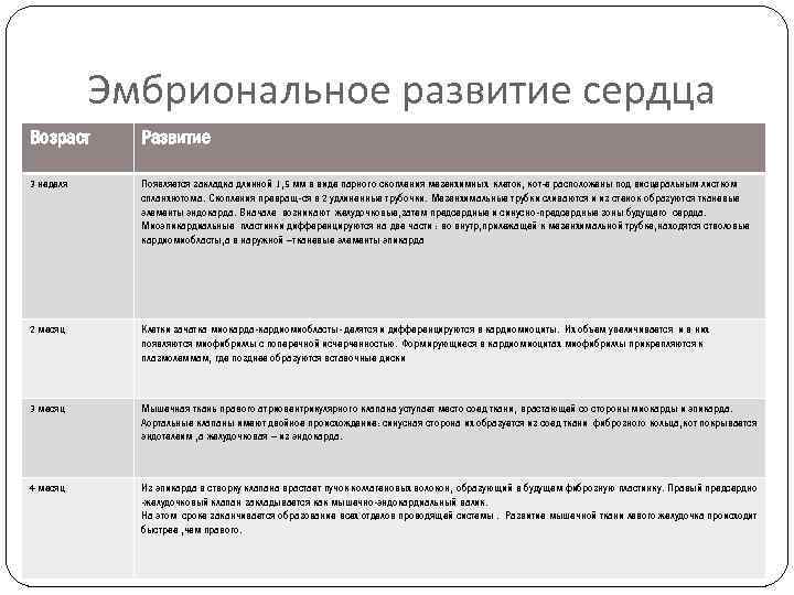 Эмбриональное развитие сердца Возраст Развитие 3 неделя Появляется закладка длинной 1, 5 мм в