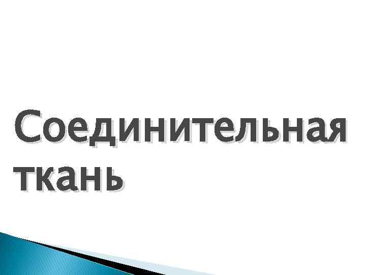 Соединительная ткань 