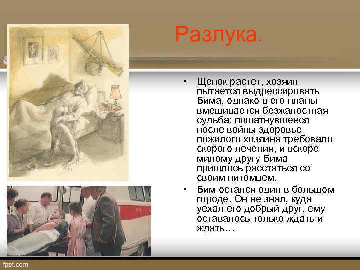  Разлука. • Щенок растет, хозяин пытается выдрессировать Бима, однако в его планы вмешивается