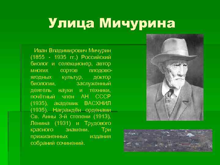 Улица Мичурина Иван Владимирович Мичурин (1855 - 1935 гг. ) Российский биолог и селекционер,