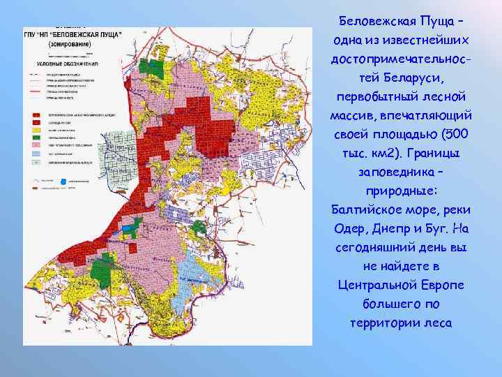 Карта беловежской пущи в белоруссии