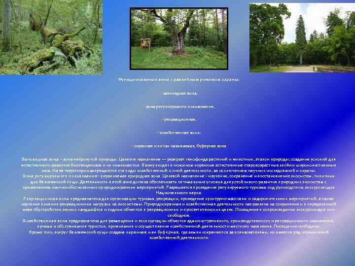 Функциональные зоны с различным режимом охраны: üзаповедная зона, üзона регулируемого пользования, üрекреационная, üхозяйственная зоны.