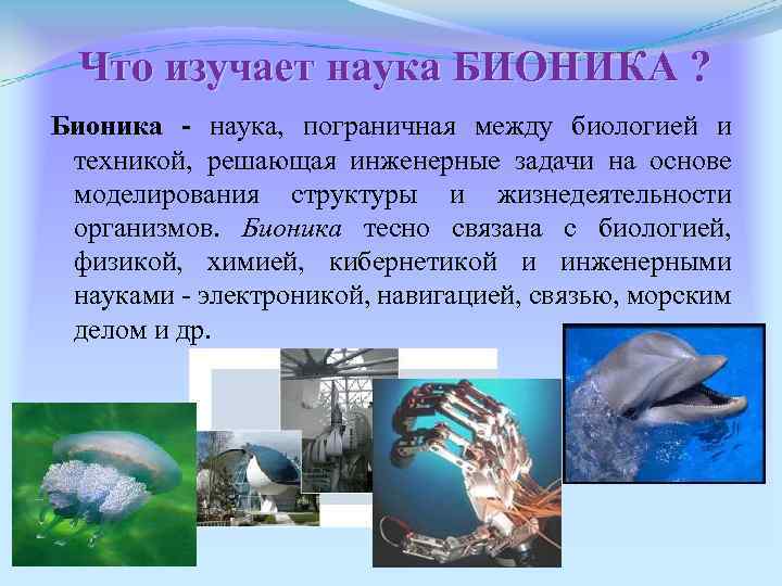 Что изучает наука БИОНИКА ? Бионика - наука, пограничная между биологией и техникой, решающая