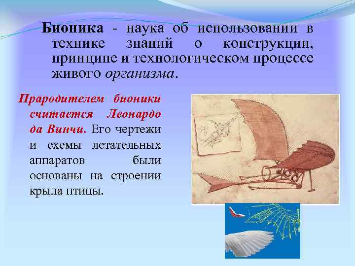 Бионика - наука об использовании в технике знаний о конструкции, принципе и технологическом процессе