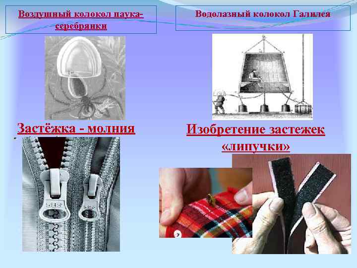 Воздушный колокол паукасеребрянки Застёжка - молния Водолазный колокол Галилея Изобретение застежек «липучки» 