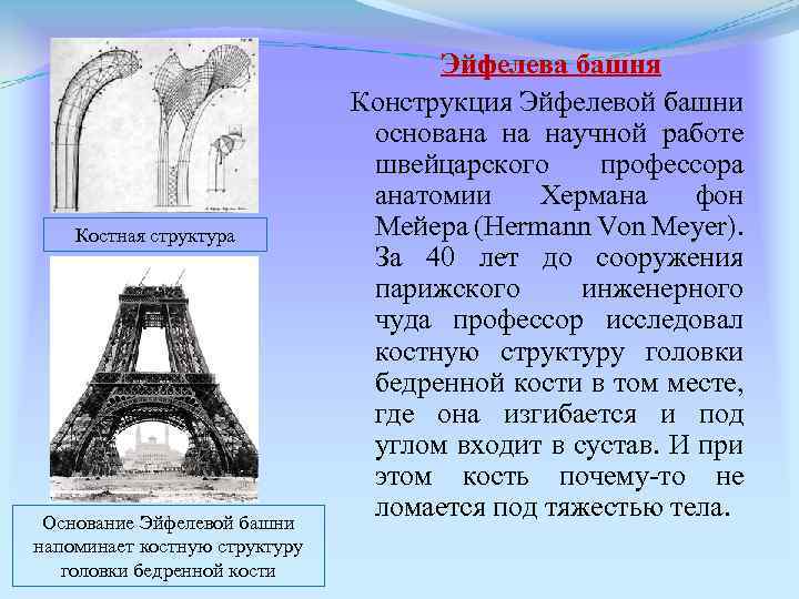 Костная структура Основание Эйфелевой башни напоминает костную структуру головки бедренной кости Эйфелева башня Конструкция