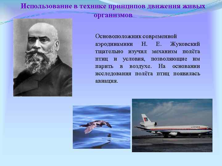 Использование в технике принципов движения живых организмов Основоположник современной аэродинамики Н. Е. Жуковский тщательно