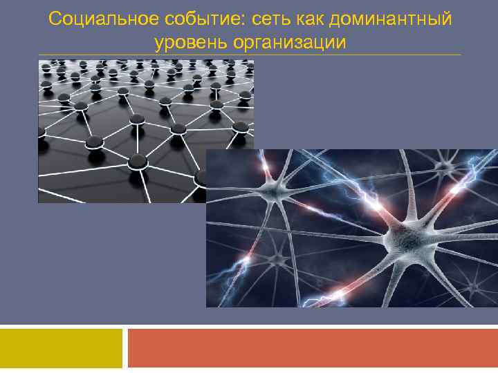 Социальное событие: сеть как доминантный уровень организации 