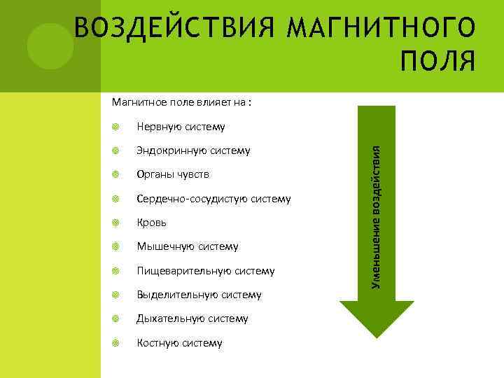 ВОЗДЕЙСТВИЯ МАГНИТНОГО ПОЛЯ Магнитное поле влияет на : Нервную систему Эндокринную систему Органы чувств