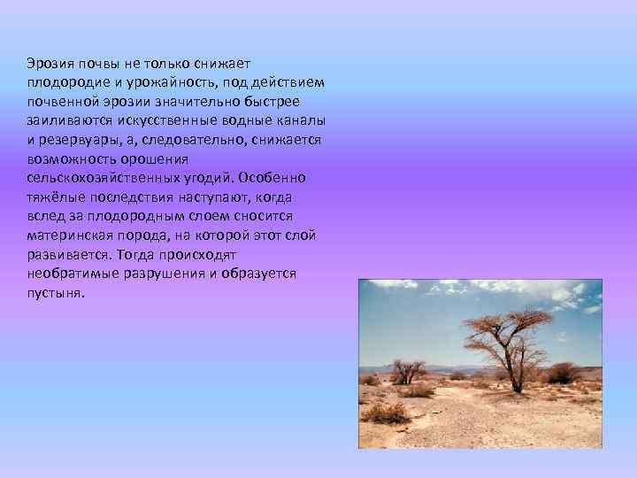 Эрозия почвы не только снижает плодородие и урожайность, под действием почвенной эрозии значительно быстрее