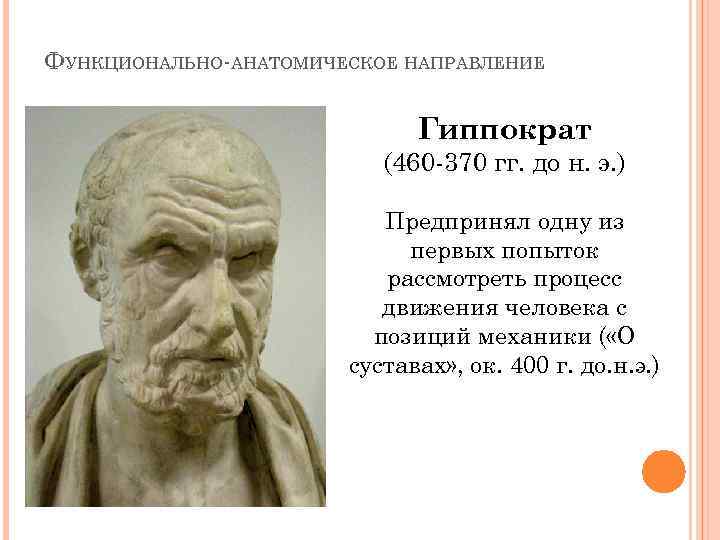 ФУНКЦИОНАЛЬНО-АНАТОМИЧЕСКОЕ НАПРАВЛЕНИЕ Гиппократ (460 -370 гг. до н. э. ) Предпринял одну из первых